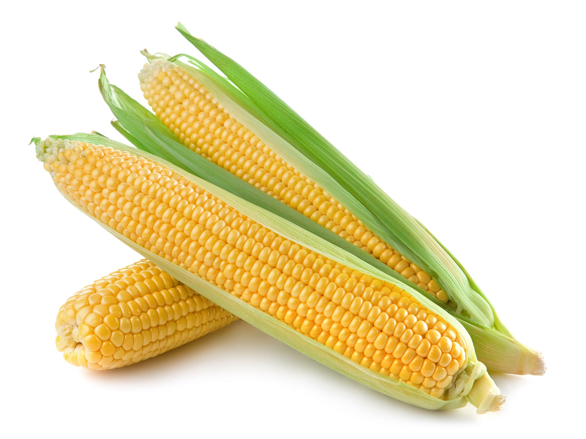 Corn Cob ea