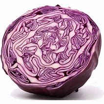 Cabbage Purple half