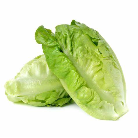 Lettuce Cos ea