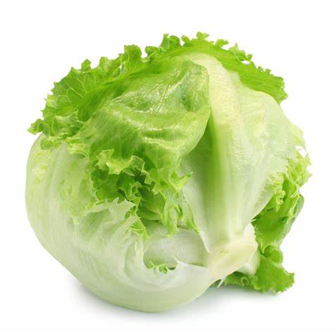 Lettuce Iceberg ea