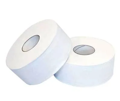 Ecoz Jumbo Toilet Roll 2ply 300m per carton