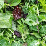 Salad Mix Farm Fresh