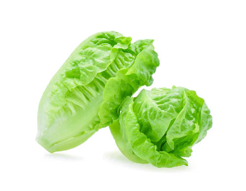 Lettuce Cos 2pk