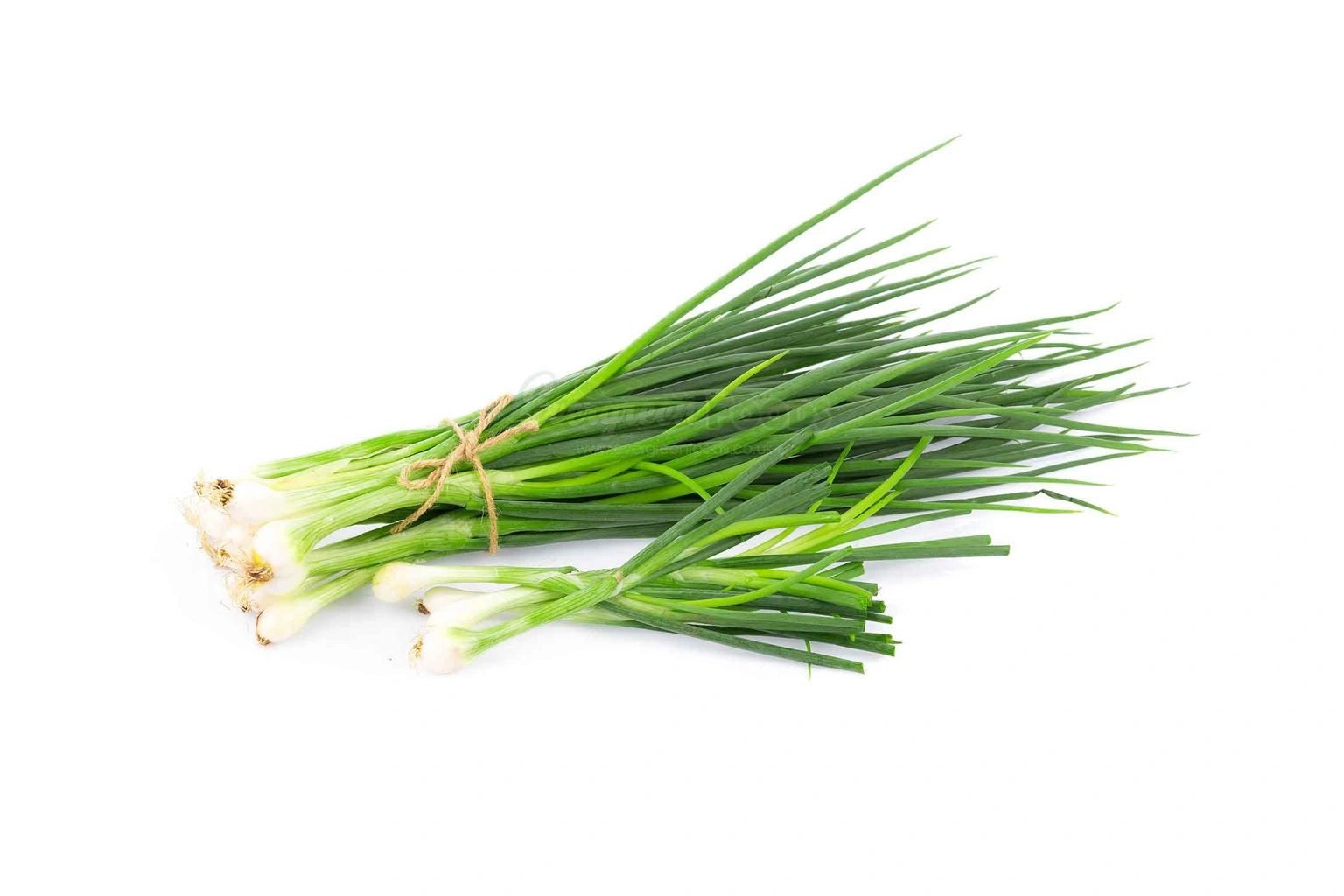 Spring Onions bunch