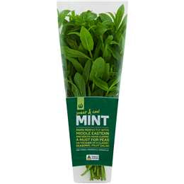 Woolworths Fresh Mint bunch