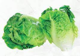 Baby Cos Lettuces 2pk