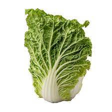 Cabbage Wombok ea