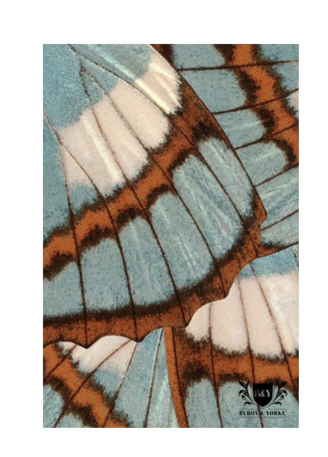 Gift Boxed Microfibre Tea Towel Butterfly Wings